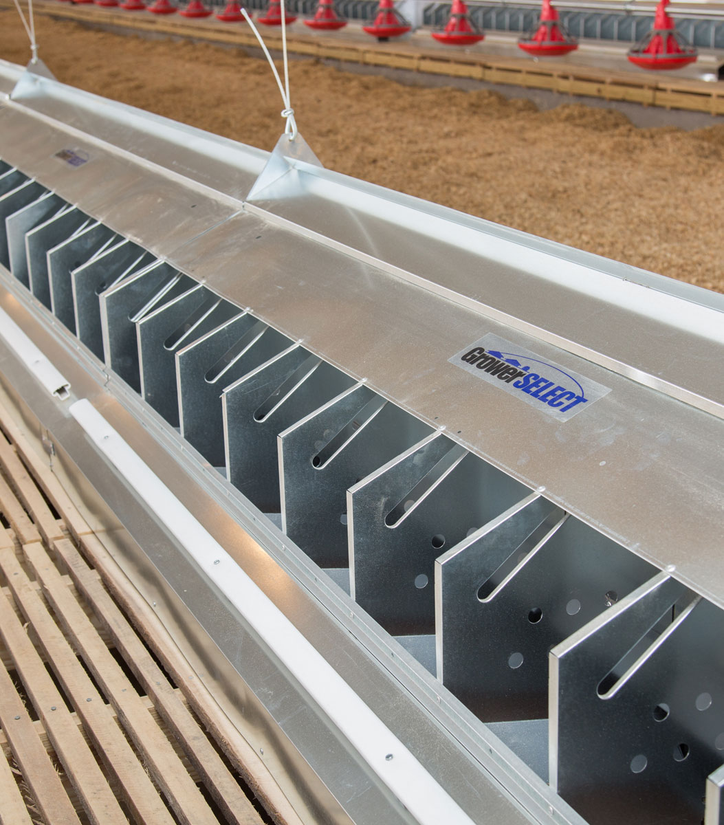 GrowerSELECT chicken nests installed on a new construction breeder chicken farm in North Carolina.