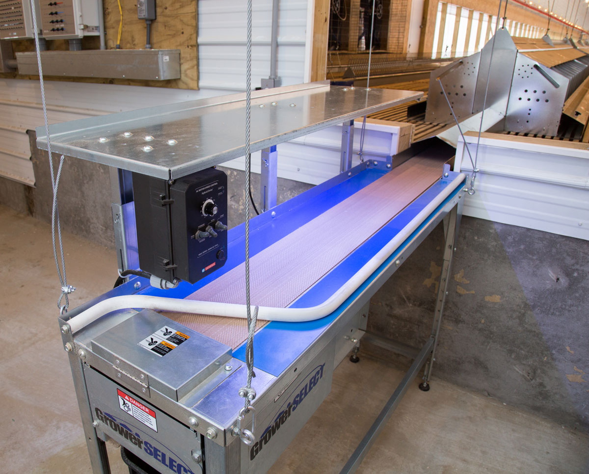 GrowerSELECT center-belt egg collection table installed on a broiler breeder farm in North Carolina. (Item # GSN-5300)
