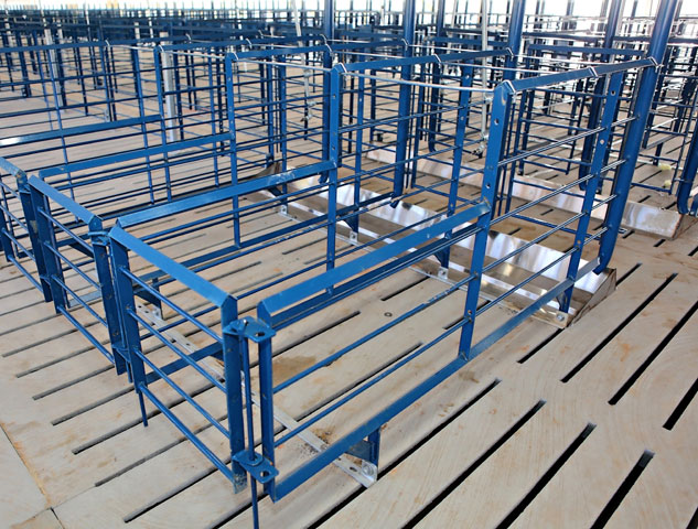 Hog Slat’s gestation stall design has been improved, installed and trusted by pork producers across the nation for over 30 years.