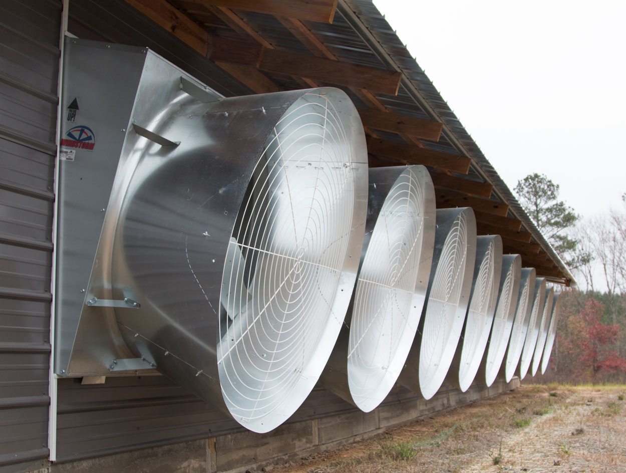WindStorm galvanized metal exhaust fans provide excellent performance in poultry barn applications; allowing tunnel ventilation systems to operate at optimal levels that maintain bird comfort while controlling electricity expenses.